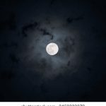 探索白给联盟官网:获取最新资讯与活动信息 0l7w5