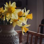 探索JMComic.Mic2.0Com:全新漫画体验与创作平台 2cefs61