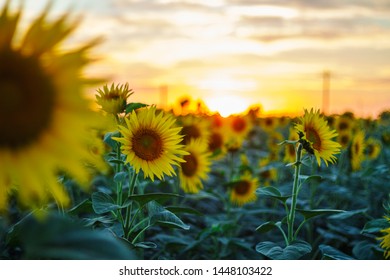 探索二次元巡礼圣地网站:动漫迷的梦想之旅 探索二次元巡礼圣地网站:动漫迷的梦想之旅