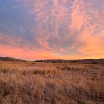探索幸福都市:韩漫中的爱情与生活哲学 5ef13g
