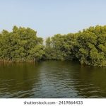 探索夜趣福利,尽享精彩生活体验! 86w4t0o73