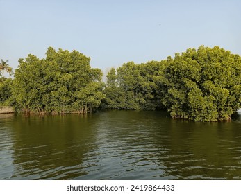 探索夜趣福利,尽享精彩生活体验! 探索夜趣福利,尽享精彩生活体验!