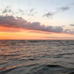 探索星巴克官网:咖啡爱好者的在线天堂 jkvhg6s8