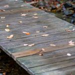 探索b次元网页版的无限可能与精彩体验 q027o7