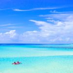 探秘兔子先生背后的传媒公司及其影响力 rkowxb0m