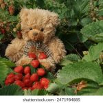 探索JMComic Web:数字漫画的未来与创作之旅 v674pd