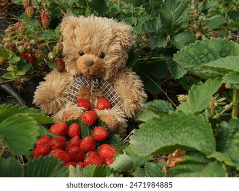 探索JMComic Web:数字漫画的未来与创作之旅 探索JMComic Web:数字漫画的未来与创作之旅