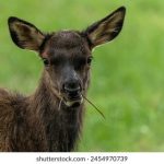 探索g点网免费会员的独特福利与精彩内容 yvdhy95n